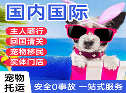 珠海莲洲航空货运国际宠物托运 【国